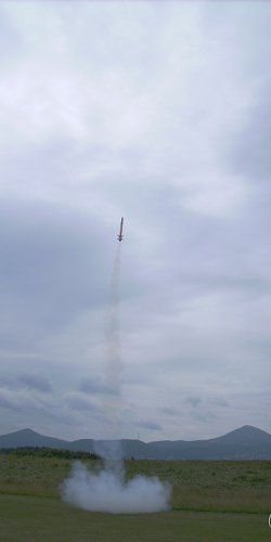 2013 Suche 29062013 Olivera